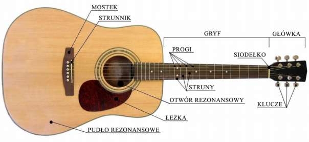 Elementy budowy gitary akustycznej